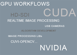 GPU Workflows